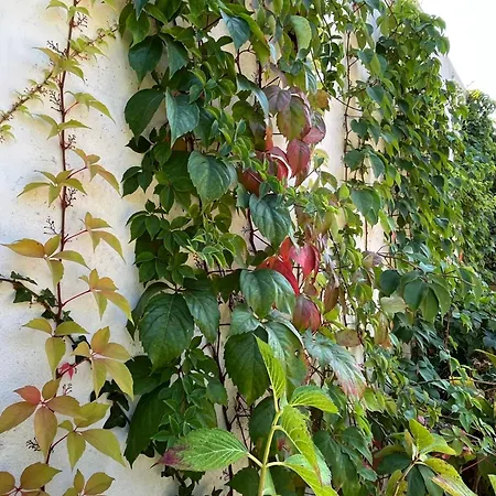 Casa Da Quinta Do Outeiro 度假居 Reveles (Montemor-o-Velho)