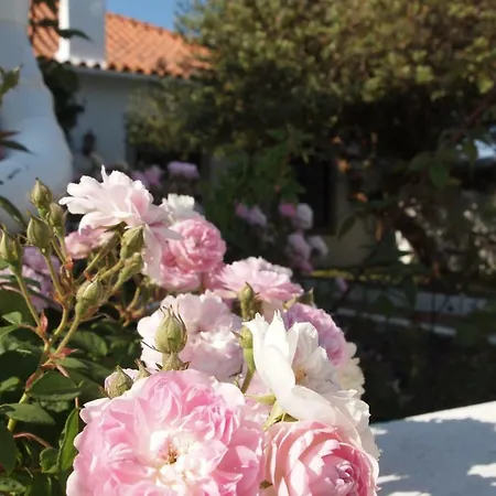 Casa Da Quinta Do Outeiro