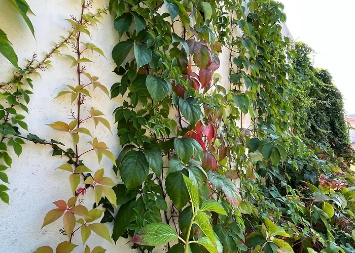 Casa Da Quinta Do Outeiro Dom wakacyjny Reveles (Montemor-o-Velho)