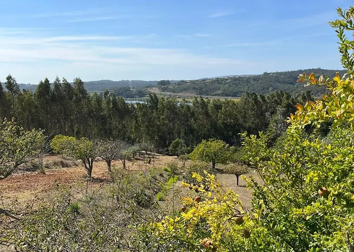 Casa Da Quinta Do Outeiro * Reveles (Montemor-o-Velho)