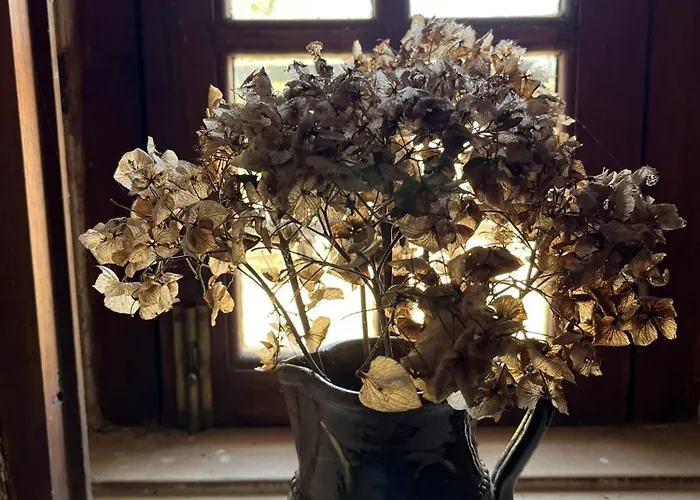 Casa Da Quinta Do Outeiro * Reveles (Montemor-o-Velho)