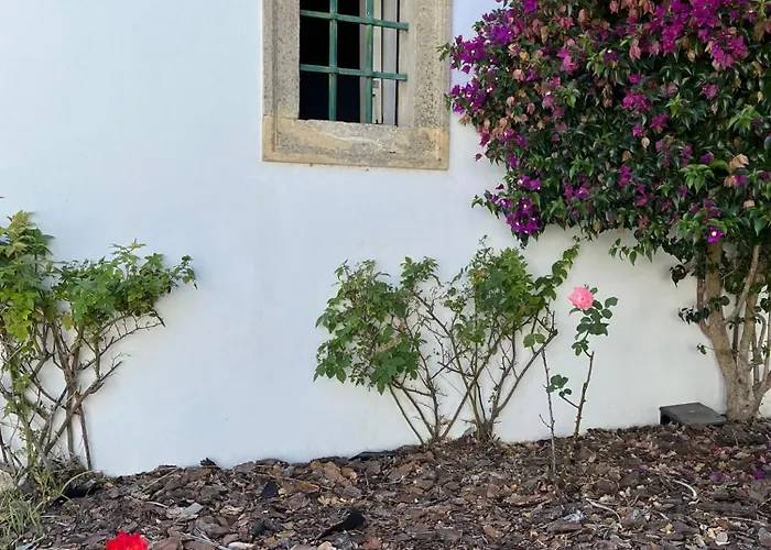 度假居 Casa Da Quinta Do Outeiro Reveles (Montemor-o-Velho)